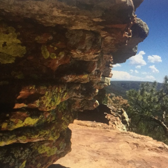 Meet your Posher, Pat - Picture 4 of 8